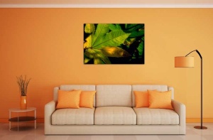 Tablou Canvas Frunze - Img 1