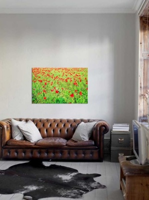 Tablou Canvas Maci - Img 1