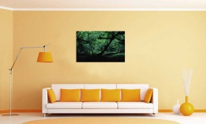 Tablou Canvas Padure - Img 1