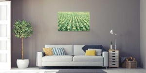 Tablou Canvas Porumb - Img 1