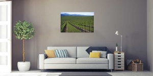 Tablou Canvas Vita de vie - Img 1