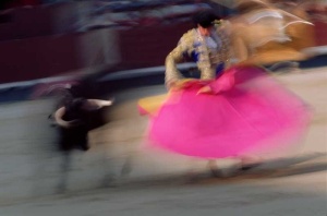Tablou Corida - Img 2