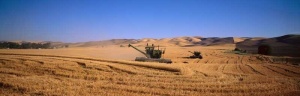 Tablou Multicanvas Agricultura - Img 2