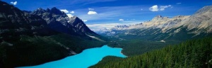 Tablou Multicanvas Lacul Peyto Canada - Img 2