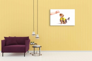 Tablou Canvas animale caine imbracat - Img 1