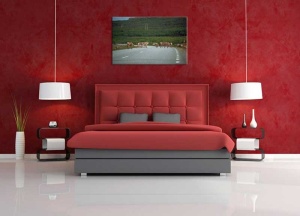 Tablou Canvas Animale - Img 1