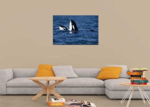 Tablou Canvas Balena - Img 1