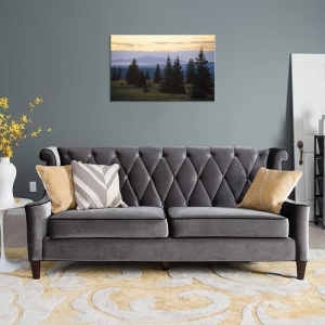 Tablou Canvas Brazi
