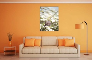 Tablou Canvas Bufnita - Img 1