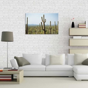 Tablou Canvas Cactusi - Img 1