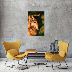 Tablou Canvas Caine - Img 1