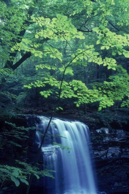 Tablou Canvas Cascada - Img 2