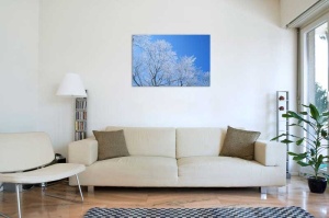 Tablou Canvas Copaci inghetati - Img 1