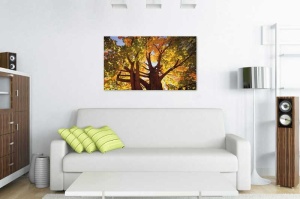 Tablou Canvas Copaci - Img 1