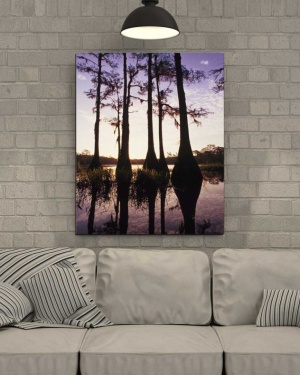 Tablou Canvas Copaci - Img 1