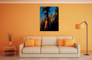 Tablou Canvas Copaci - Img 1