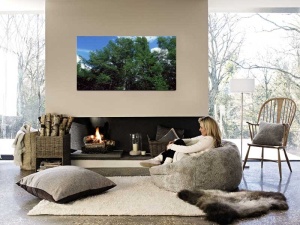 Tablou Canvas Copaci - Img 1