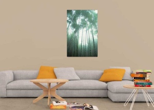 Tablou Canvas Copaci - Img 1