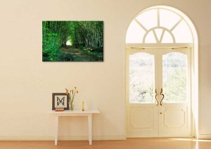 Tablou Canvas Drum Padure - Img 1
