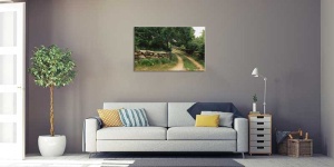 Tablou Canvas Drum prin padure - Img 1