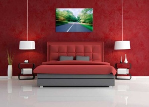 Tablou Canvas Drum prin padure - Img 1