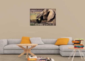 Tablou Canvas Elefant - Img 1