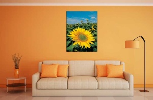 Tablou Canvas Floarea-Soarelu - Img 1