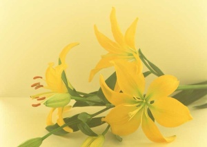 Tablou Canvas Floare - Img 2
