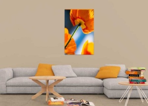 Tablou Canvas Flori - Img 1