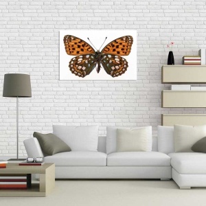 Tablou Canvas Fluturas - Img 1