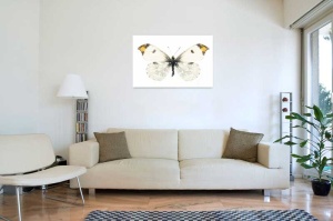 Tablou Canvas Fluturas - Img 1