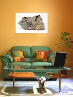 Tablou Canvas Fosila - Img 1