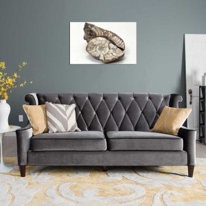 Tablou Canvas Fosila - Img 1