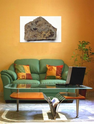 Tablou Canvas Fosila - Img 1