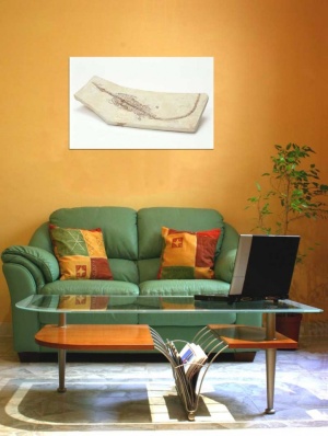 Tablou Canvas Fosila - Img 1