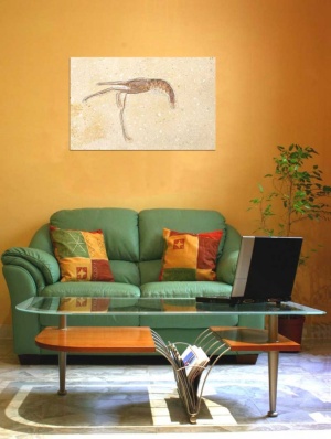 Tablou Canvas Fosila - Img 1