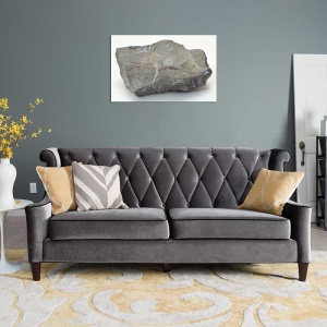 Tablou Canvas Fosila - Img 1