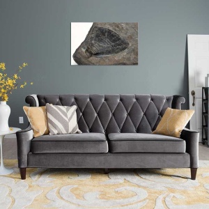 Tablou Canvas Fosila - Img 1