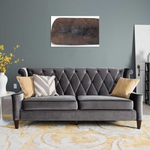 Tablou Canvas Fosila - Img 1