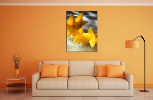 Tablou Canvas Fructe Exotice - Img 1