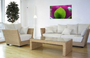Tablou Canvas Frunza - Img 1