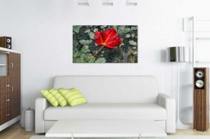 Tablou Canvas Frunze Aramii - Img 1