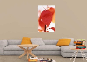 Tablou Canvas Frunze rosii - Img 1