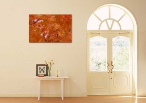Tablou Canvas Frunze - Img 1