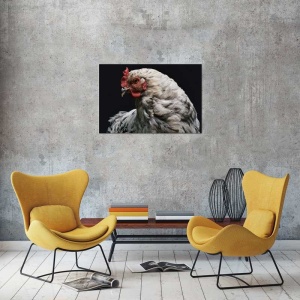 Tablou Canvas Gaina - Img 1