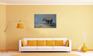 Tablou Canvas Hipopotam - Img 1