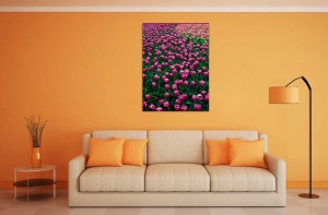 Tablou Canvas Lalele - Img 1