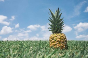 Tablou Canvas Multicanvas Ananas - Img 2