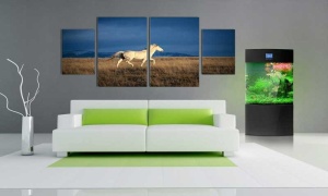 Tablou Canvas Multicanvas Cal Alb - Img 1
