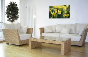 Tablou Canvas Narcise - Img 1
